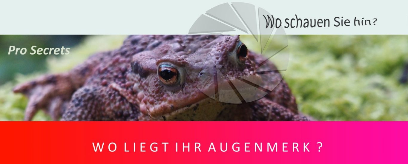 Augenmerk Aufmerksamkeit Ziele? Ihre Ziele im Fokus PRIVAT und Beruflich