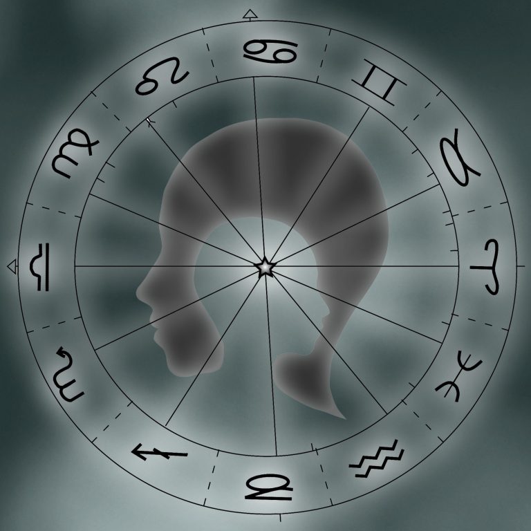 Werde Dein TYP! Erkenne, wie du tickst! Bleibe neugierig, was dir die Natur schenkt und nehme wahr!