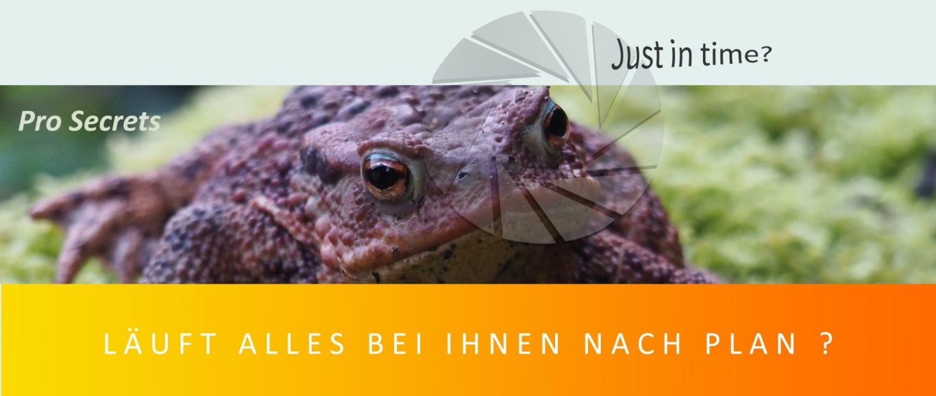 Sind Sie JUST IN TIME ? Wissen Sie, was Sie als nächstes TUN SOLLEN?
